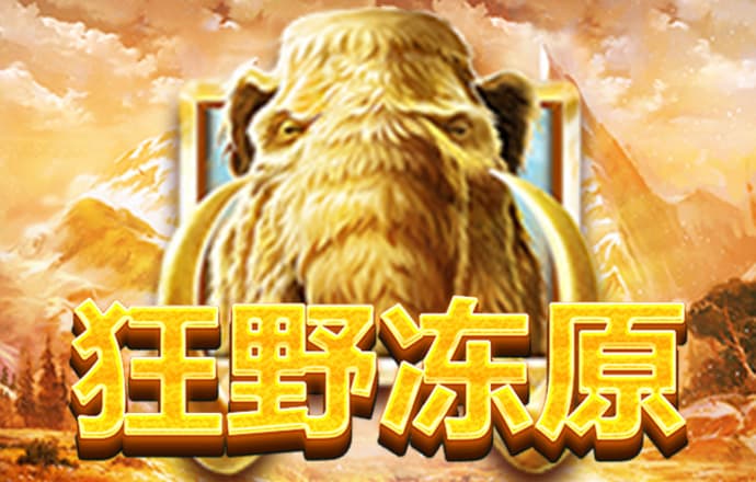 金年会体育app
